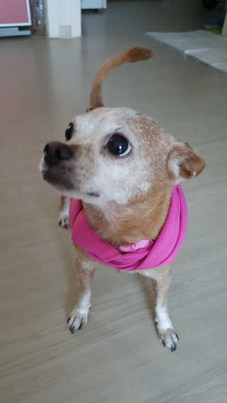 유진오님이 올린 리뷰 사진 1