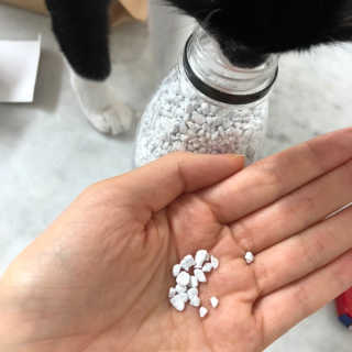 chu님이 올린 리뷰 사진 2