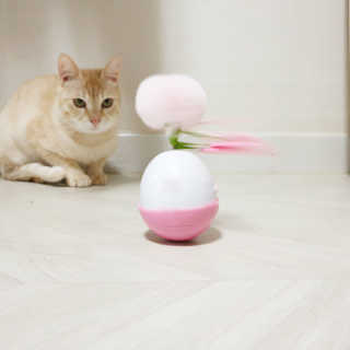 PX3LUV님이 올린 리뷰 사진 1