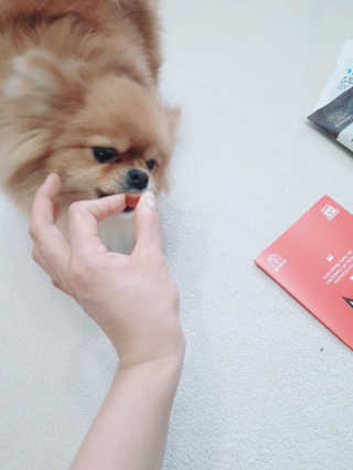 YulaKim님이 올린 리뷰 사진 4