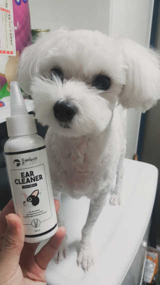 지영님이 올린 리뷰 사진 2