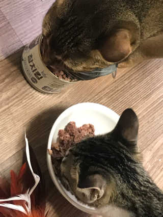 츄루님이 올린 리뷰 사진 1