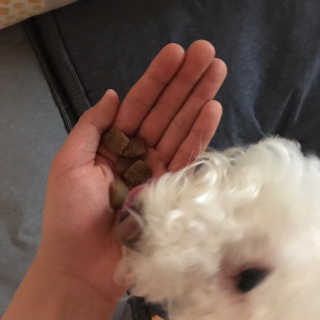 슈슈네님이 올린 리뷰 사진 3