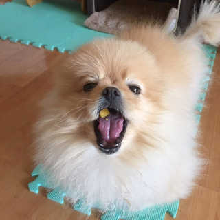 서연스러운님이 올린 리뷰 사진 2