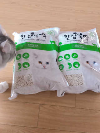 [펫토리아] BEST 고양이두부모래 6L 한삽뚝딱 — 4점을 준 리뷰어가 2019년 2월 올린 사용 사진