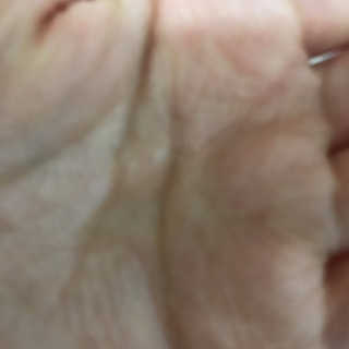 피치피치님이 올린 리뷰 사진 2
