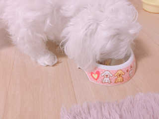 리본님이 올린 리뷰 사진 3