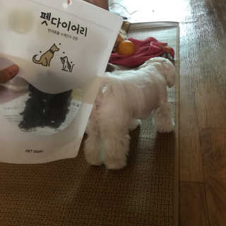 [펫다이어리] 강아지 수제간식 — 4.83점을 준 리뷰어가 2018년 6월 올린 사용 사진