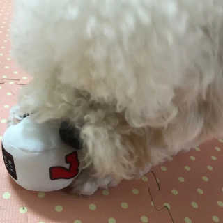 윤동규님이 올린 리뷰 사진 1