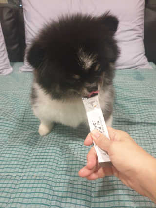 몽실맘님이 올린 리뷰 사진 3