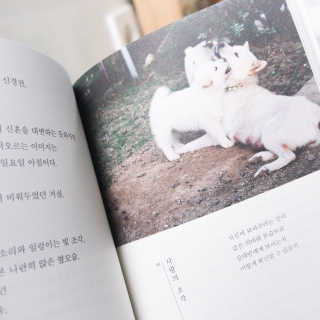 jemjug님이 올린 리뷰 사진 3