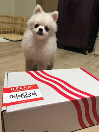 aevely님이 올린 리뷰 사진 1