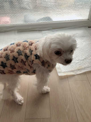 ejejejluv님이 올린 리뷰 사진 1