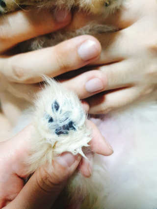 으콩님이 올린 리뷰 사진 3