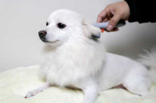 MIMI님이 올린 리뷰 사진 3