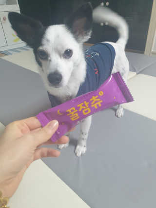 복실이님이 올린 리뷰 사진 1