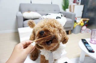 초코님이 올린 리뷰 사진 2