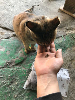 이승진님이 올린 리뷰 사진 3