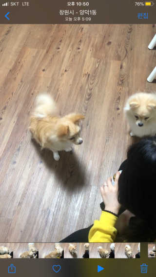 잠보아 뉴트리페어 굿바이 티어스테인 — 5점을 준 리뷰어가 2019년 12월 올린 사용 사진