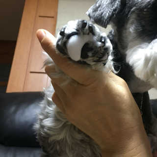 스리슬쩍님이 올린 리뷰 사진 2