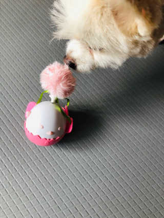 Lily님이 올린 리뷰 사진 1