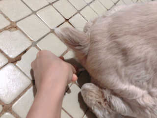 cobemom님이 올린 리뷰 사진 2
