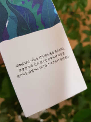 르플랑 제주 센티드 디퓨저 90ml 4종 — 5점을 준 리뷰어가 2018년 11월 올린 사용 사진