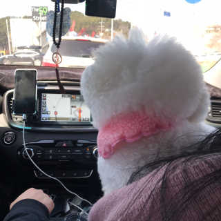 다영꼰듀님이 올린 리뷰 사진 2