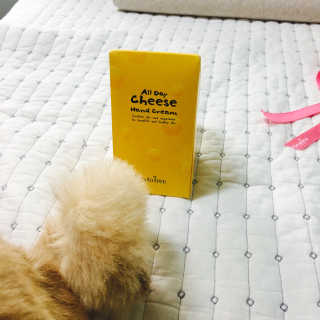 민이언님이 올린 리뷰 사진 1