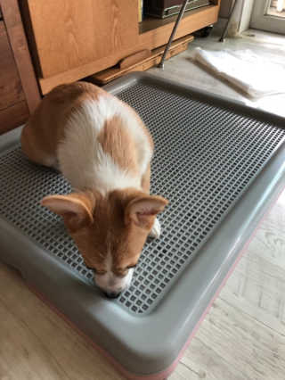 ArumPark님이 올린 리뷰 사진 2