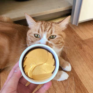 늘봄냥님이 올린 리뷰 사진 2