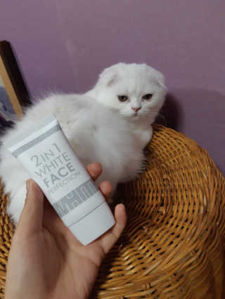 피움 스킨바리스타 2in1 화이트 페이스 퍼펙션 50ml — 4점을 준 리뷰어가 2018년 11월 올린 사용 사진