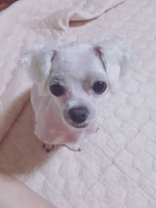 빡찌님이 올린 리뷰 사진 2