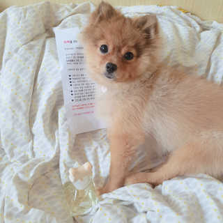 은선이짱님이 올린 리뷰 사진 4
