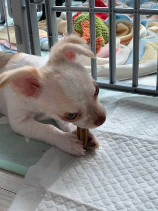 호진이맘♡님이 올린 리뷰 사진 4