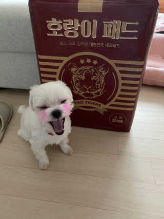 황방울이님이 올린 리뷰 사진 2