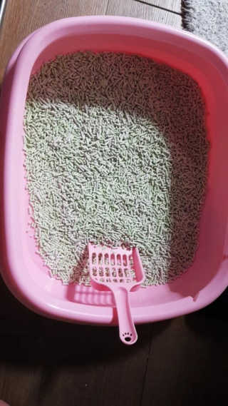 귤람즤꺼!님이 올린 리뷰 사진 3