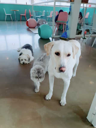 gkgkgk님이 올린 리뷰 사진 3
