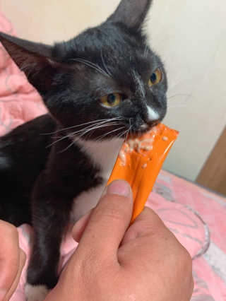 랑이님이 올린 리뷰 사진 1