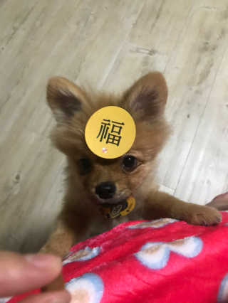 aevely님이 올린 리뷰 사진 3