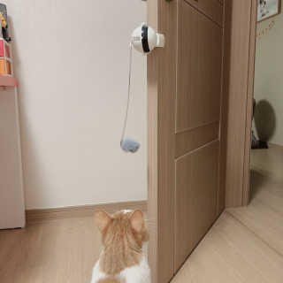 은지님이 올린 리뷰 사진 2