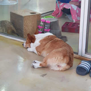 예디님이 올린 리뷰 사진 3