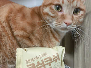 YEON님이 올린 리뷰 사진 4