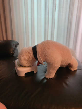 소유님이 올린 리뷰 사진 3
