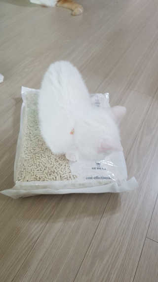 소피마르소님이 올린 리뷰 사진 2