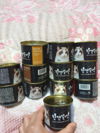 [펫토리아] BEST 한캔뚝딱 고양이 주식캔 — 5점을 준 리뷰어가 2019년 3월 올린 사용 사진