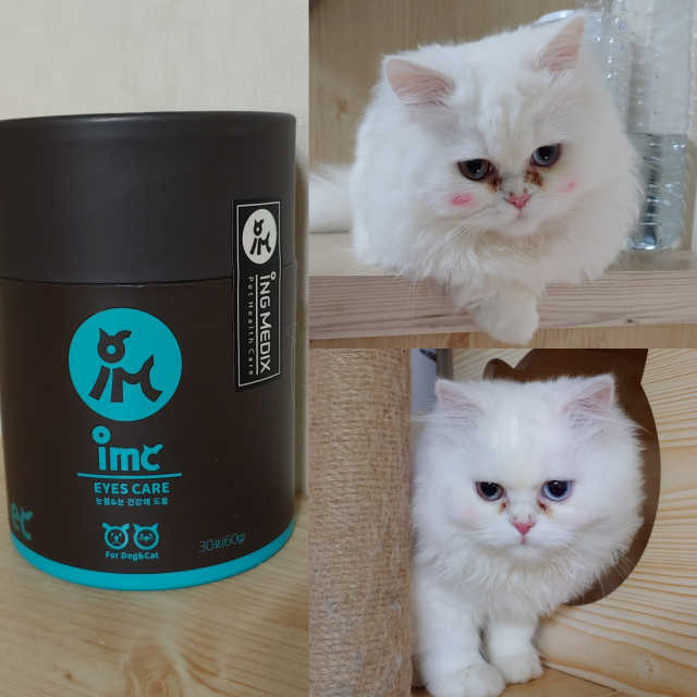 IMC강아지,고양이 영양제 종합,눈,장,심장 8종 중 택1 리뷰 사진