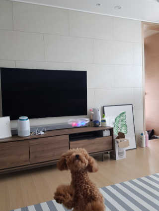 진리뷰님이 올린 리뷰 사진 1
