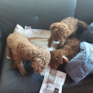 seni님이 올린 리뷰 사진 1
