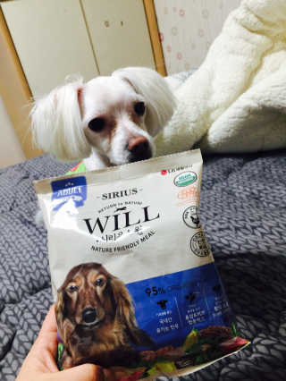 효진님이 올린 리뷰 사진 2